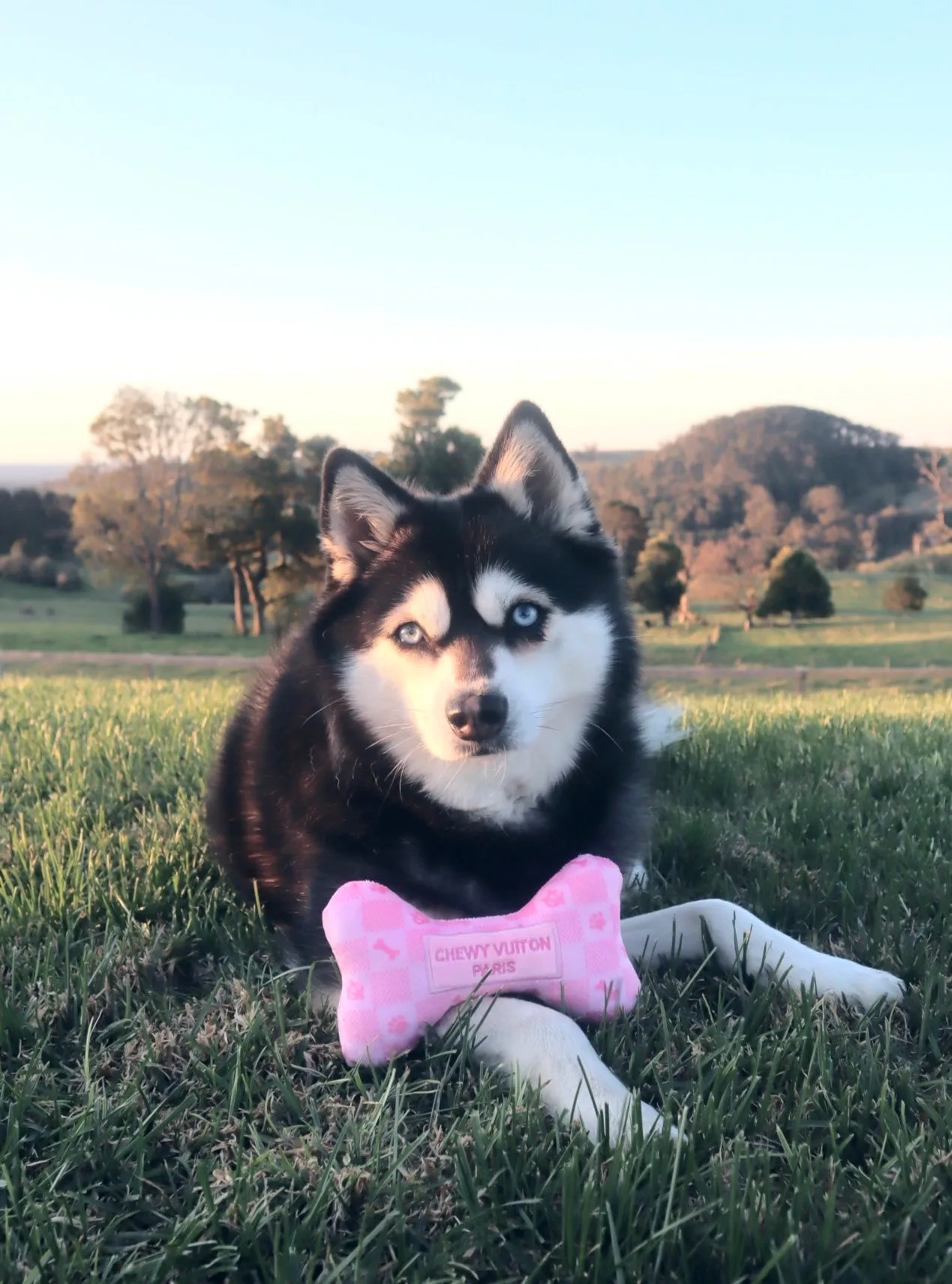 Checker Chewy Vuiton Dog Bone Toy - Pink