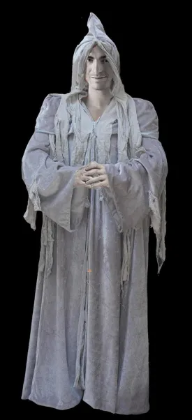 "Movie Quality Ghostly Cloak" Costume