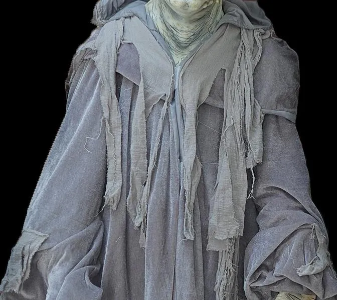 "Movie Quality Ghostly Cloak" Costume