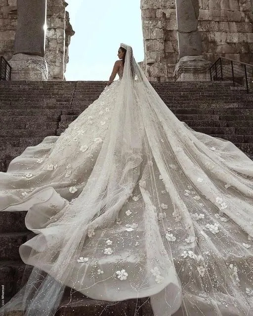 Sparkly Floral Lace Wedding Dress With Beading