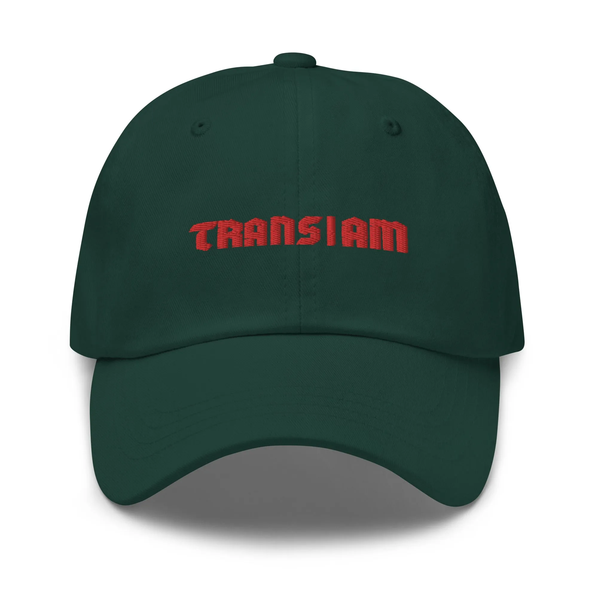 Trans I Am Dad Hat