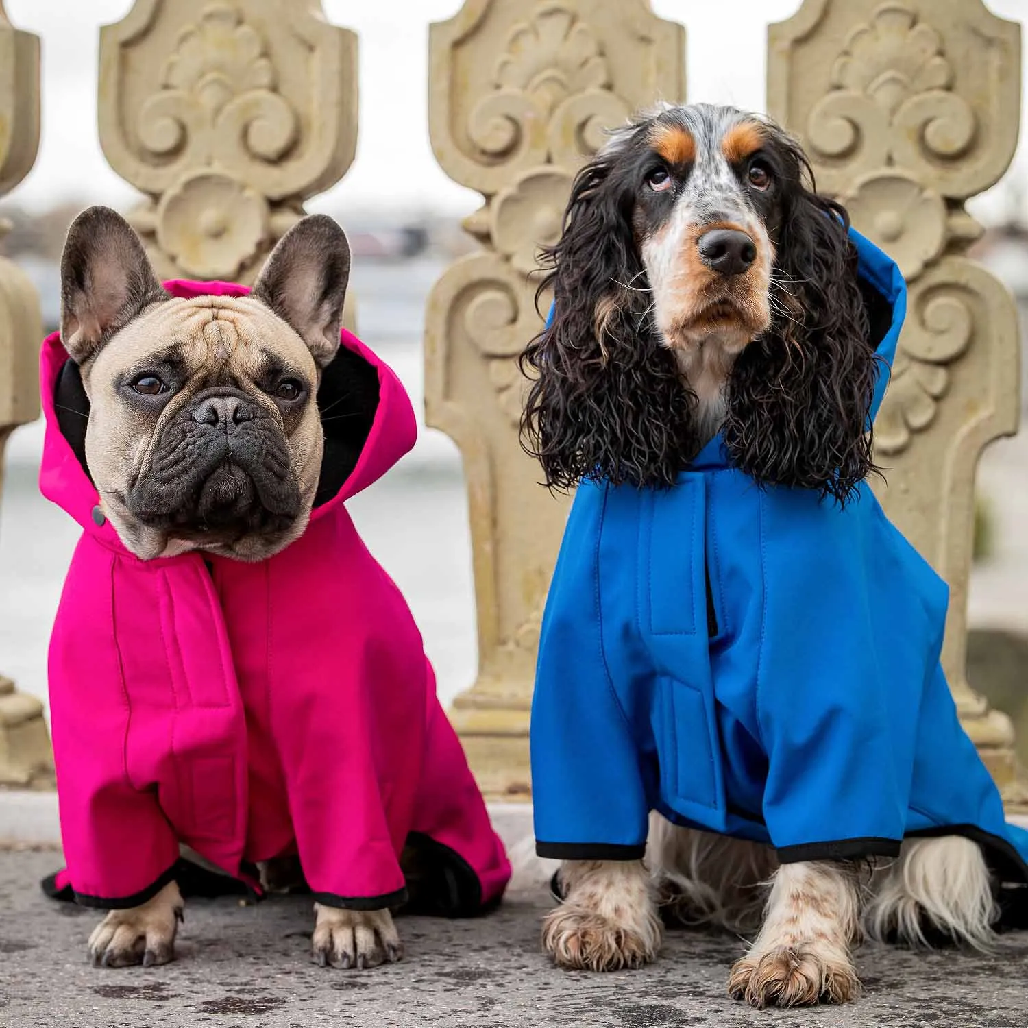 Waterproof Dog Softshell Jacket, Hooded Raincoat and Windbreakers